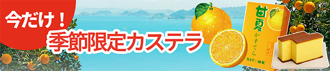 季節のカステラ　甘夏カステラ