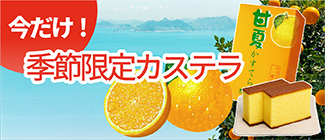 季節のカステラ　甘夏カステラ