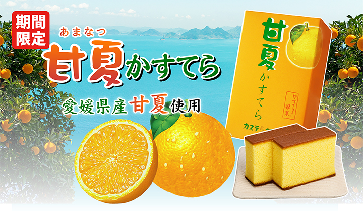 季節限定　甘夏かすてら