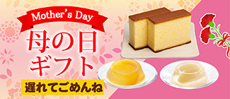 母の日の贈り物 遅れてごめんね