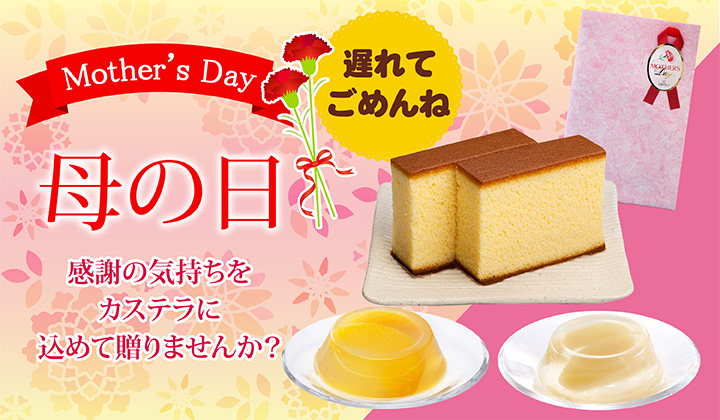 母の日の贈り物　おくれてごめんね